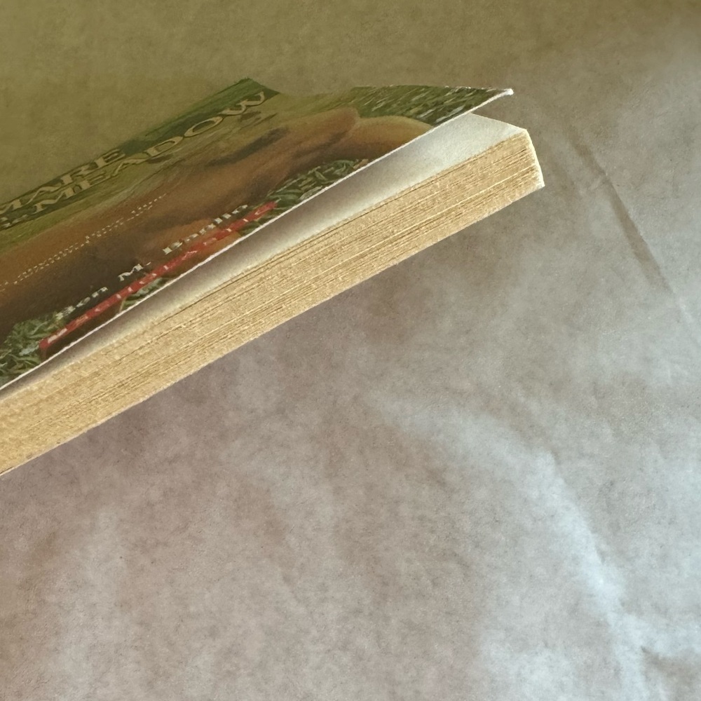 Mare in the Meadow by Ben M. Baglio (Paperback - Like New!) 🐴 - Picture 4 of 7